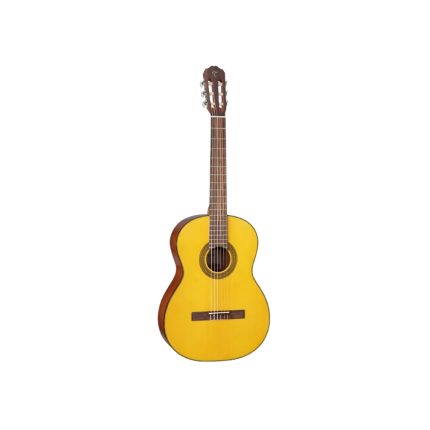 TAKAMINE GC1