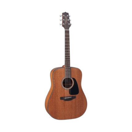 TAKAMINE GLD11ENS DREADNOUGHT